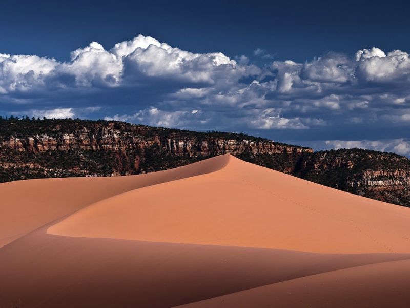 Coral Pink Sand Dunes State Park: Sandboarding Extremes