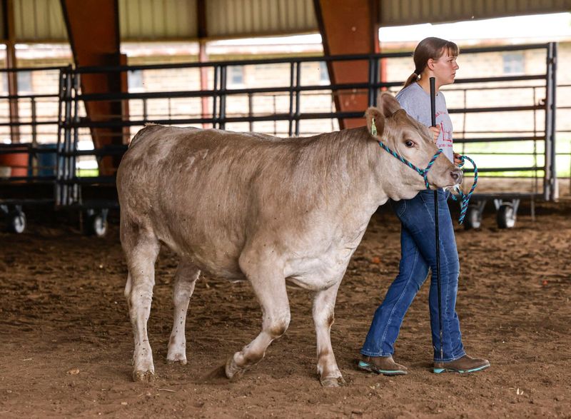 Black Hawk County 4-H & FFA Fair (Waterloo)