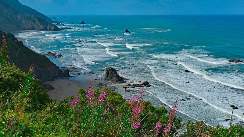 Enderts Beach: Northern Treasure
