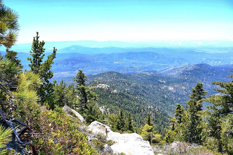 Idyllwild in the San Jacinto Mountains