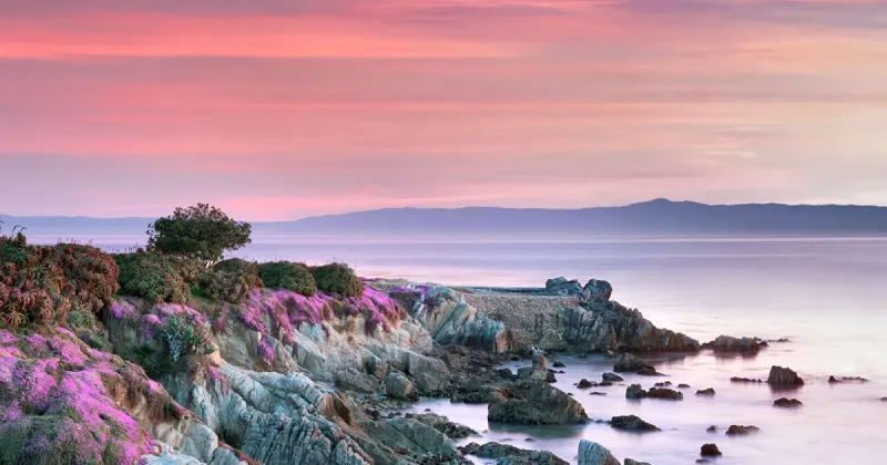Pacific Grove Beside Monterey Bay
