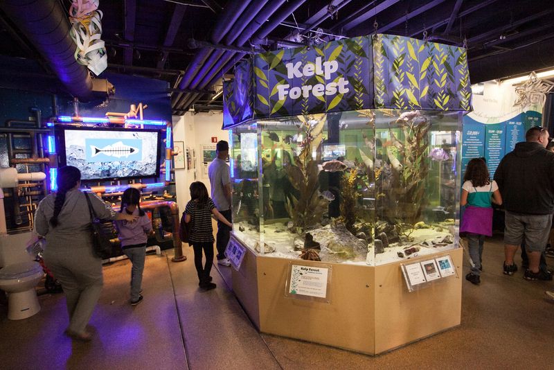 Santa Monica Pier Aquarium With Marine Exhibits