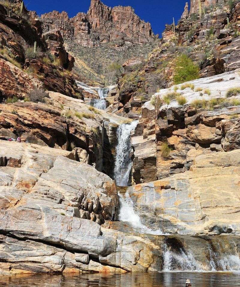 Sabino Canyon Rappelling Adventure