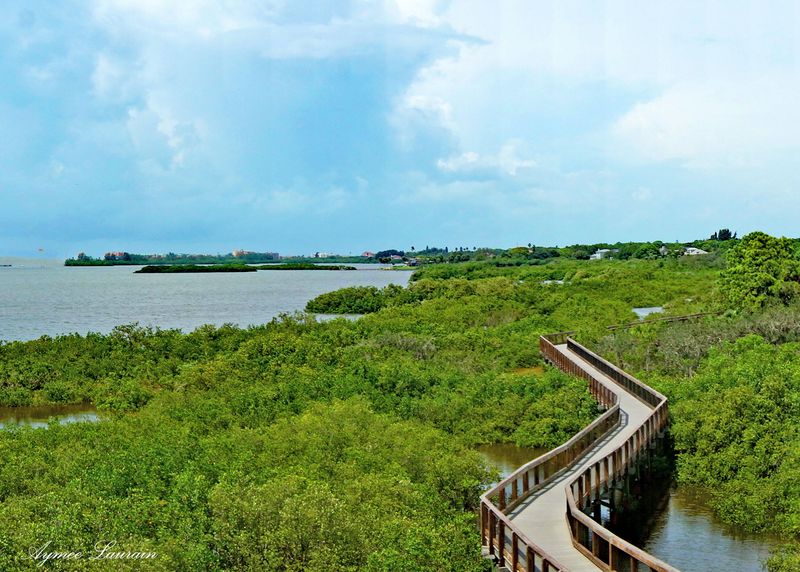 Weedon Island Preserve