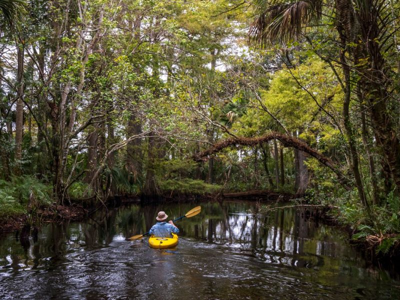 Loxahatchee River - Wild & Scenic Journey