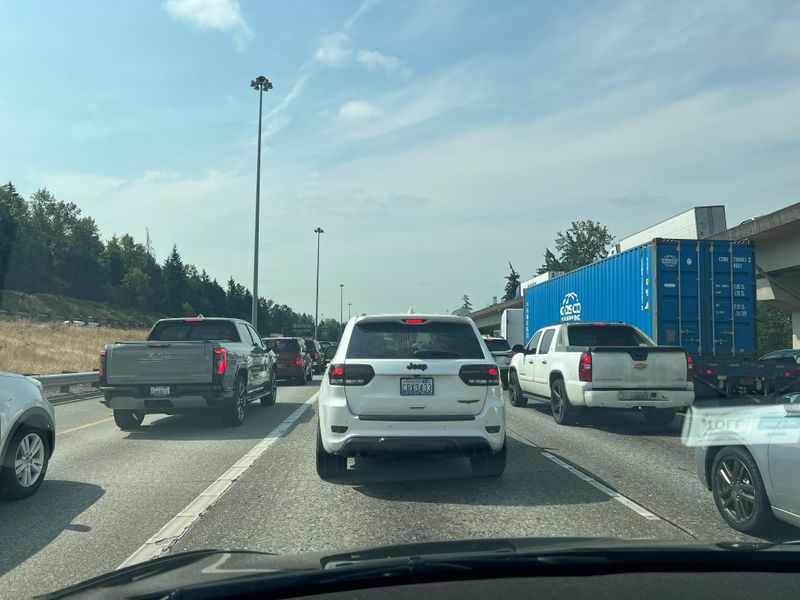 Driving Without Planning for Traffic