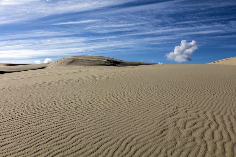 Killpecker Sand Dunes