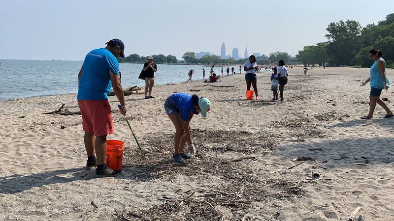 Beach Cleanups and Volunteer Programs