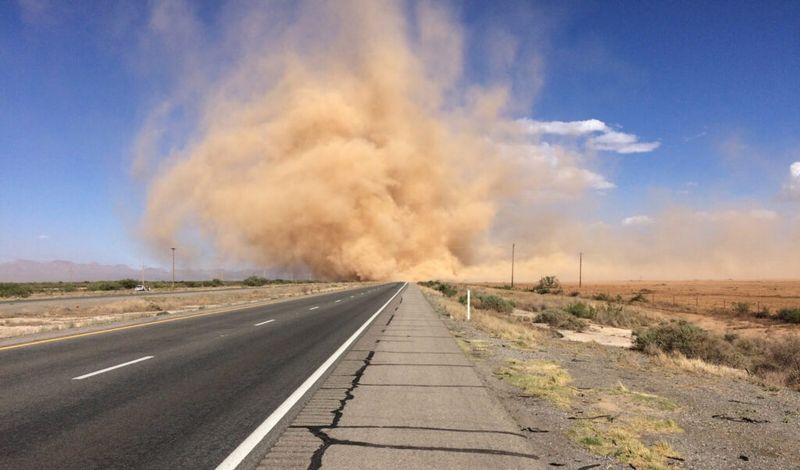 Dust Becomes Your Constant Companion