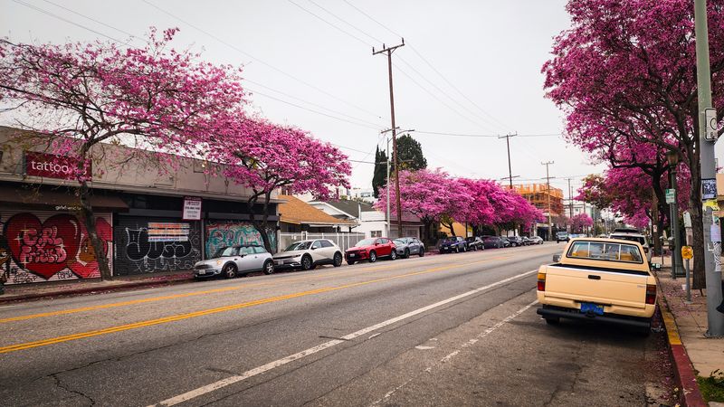 Virgil Village: Unpretentious Foodie Paradise