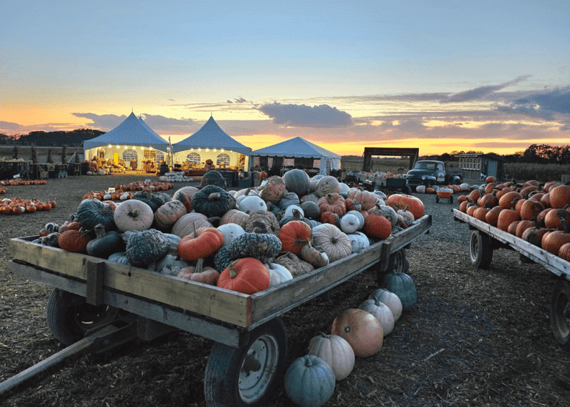 Schuster’s Farm Near Deerfield