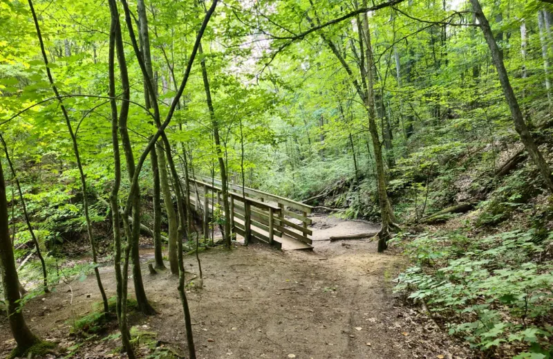 North Country Trail Segment Near Manistee
