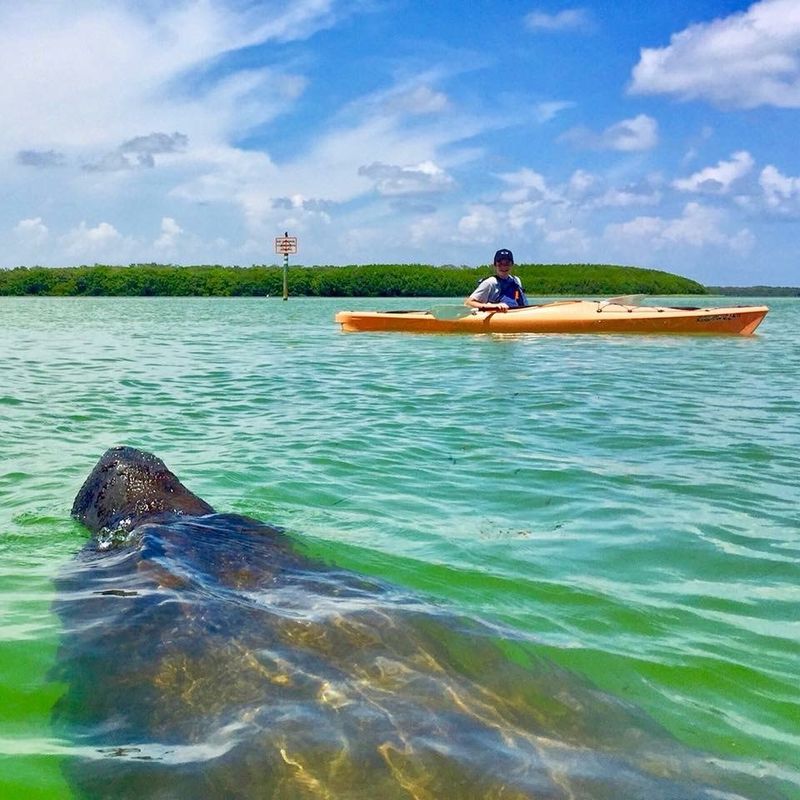 Shell Key Preserve - Island-Hopping Adventure