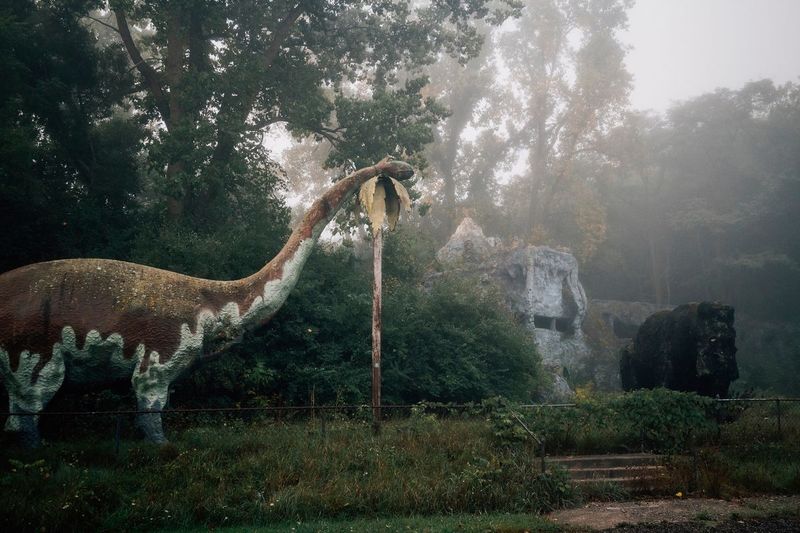 Prehistoric Forest