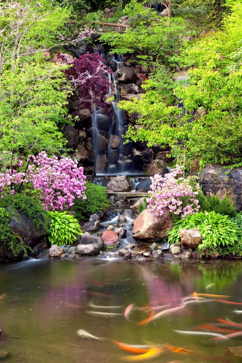 Anderson Japanese Gardens: Zen Retreat in Rockford