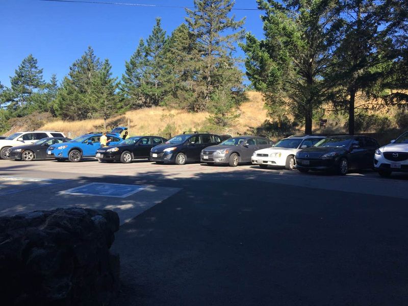 Muir Woods Alternative Parking Strategy