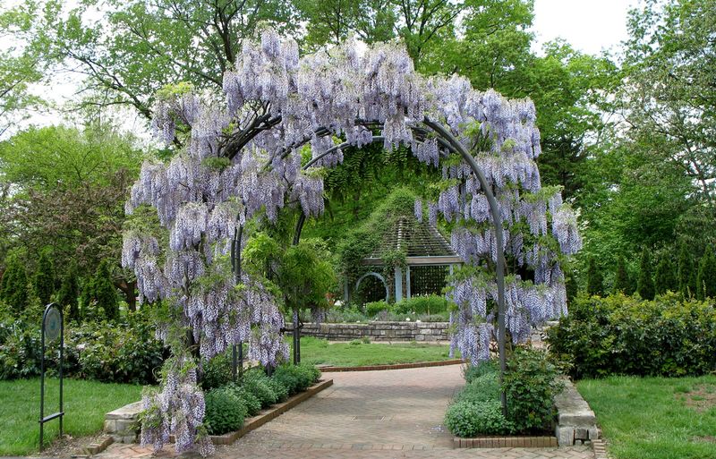 Inniswood Metro Gardens in Westerville