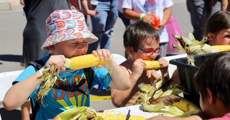 Olathe Sweet Corn Festival (Olathe)