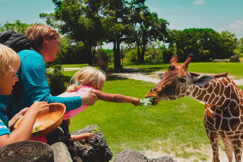 Claws N Paws Wild Animal Park in Lake Ariel