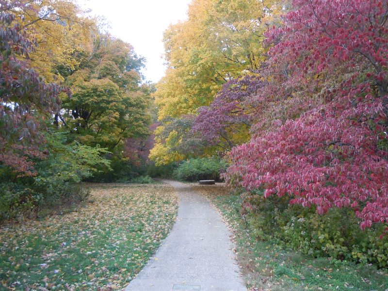 Lincoln Memorial Garden