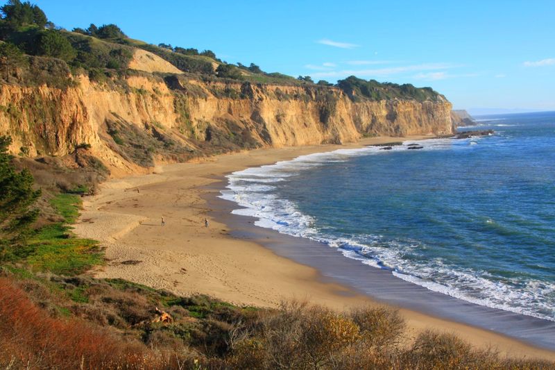 Greyhound Rock Beach: Birdwatcher's Delight