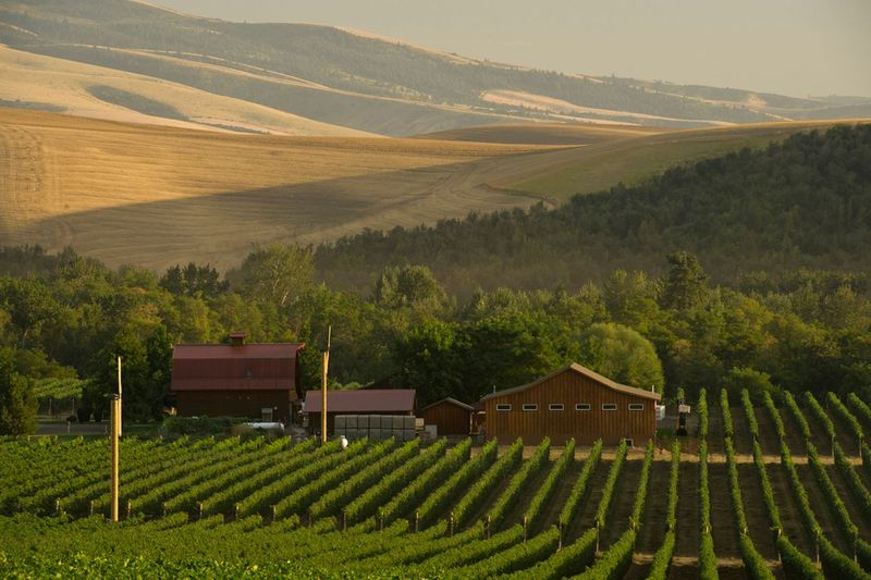 Walla Walla's Wine Country Indulgence