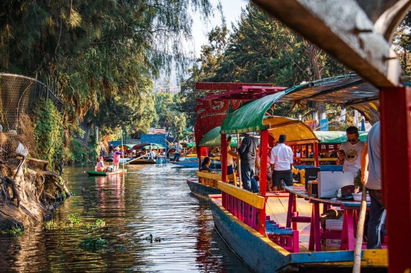 Cultural Immersion in Mexico City