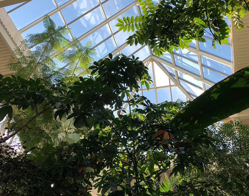 Quad City Botanical Center