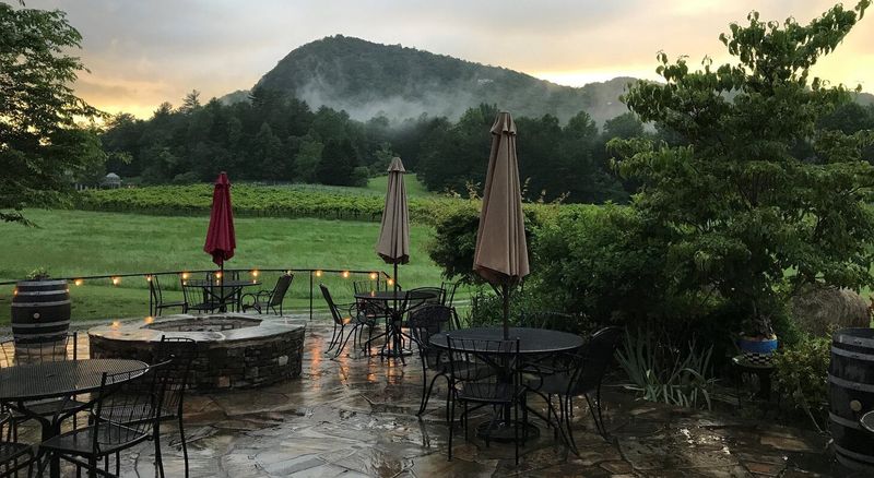 Country Roads Leading to Farm to Table Cafes