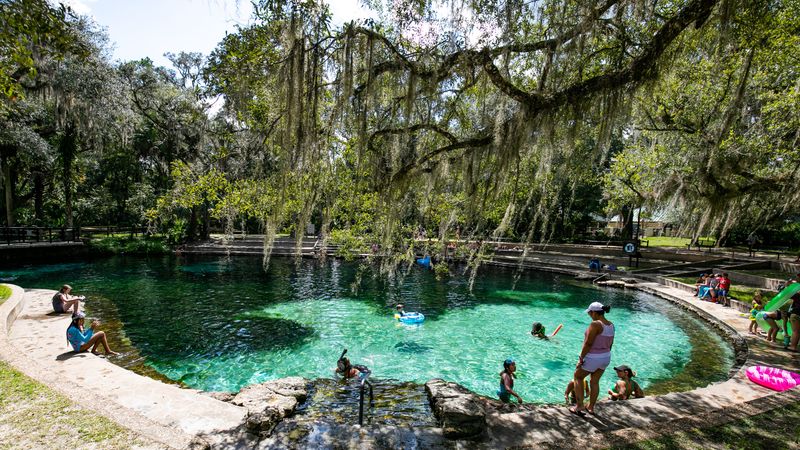 Juniper Springs: A Mosaic of Bubbling Pools in the Forest