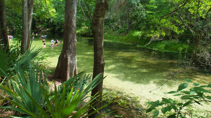 Poe Springs: The Uncrowded Oasis