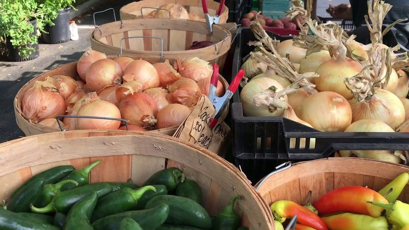 Grand Haven Farmers Market