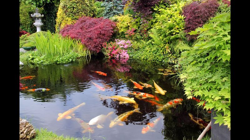 Heathcote Botanical Gardens (Fort Pierce)