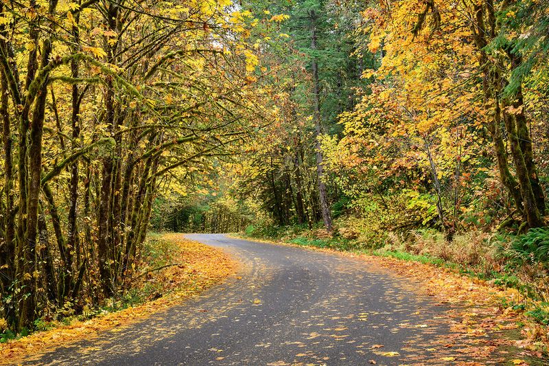 West Cascades Scenic Byway (Oregon Route 224, 46 & 58)
