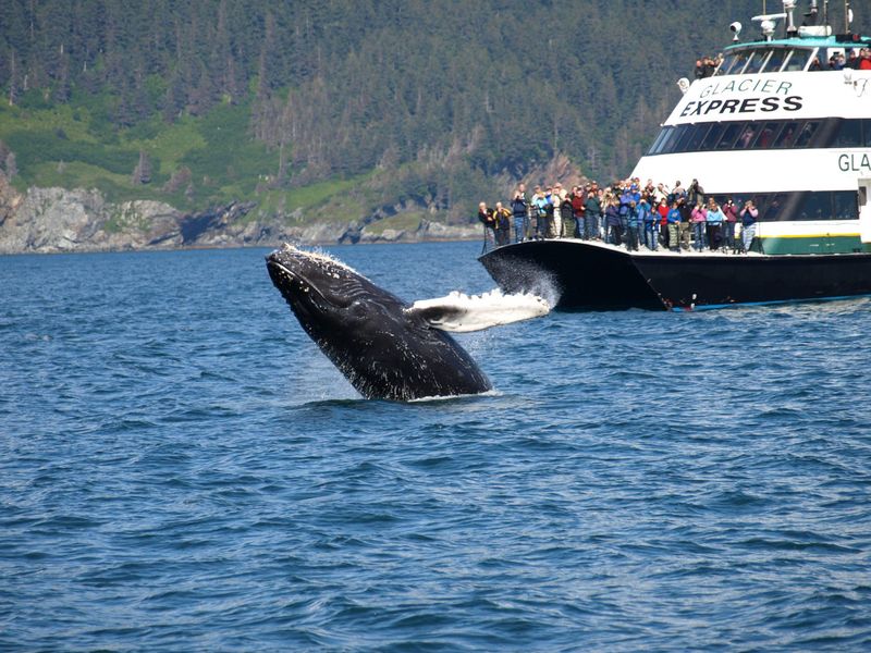 Kenai Fjords National Park
