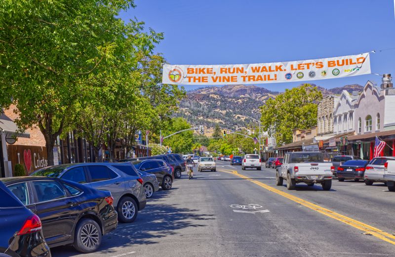 Napa Valley Tasting Without Parking Costs