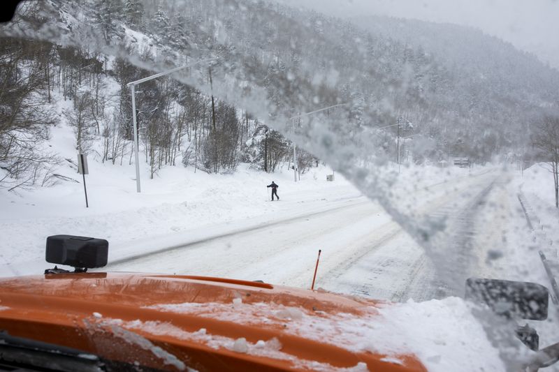 Monarch Pass's Whiteout Wilderness