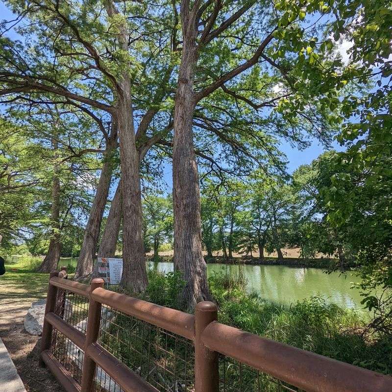 Riverside Nature Center: Hill Country Haven