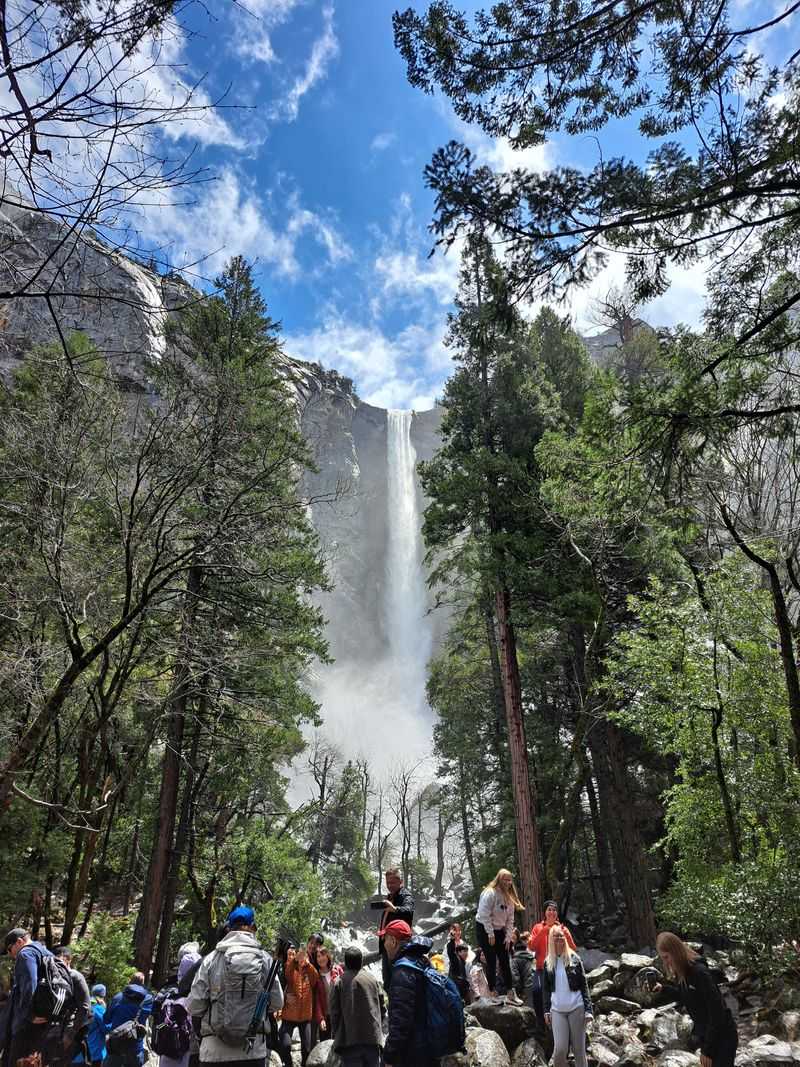 Bridalveil Backup