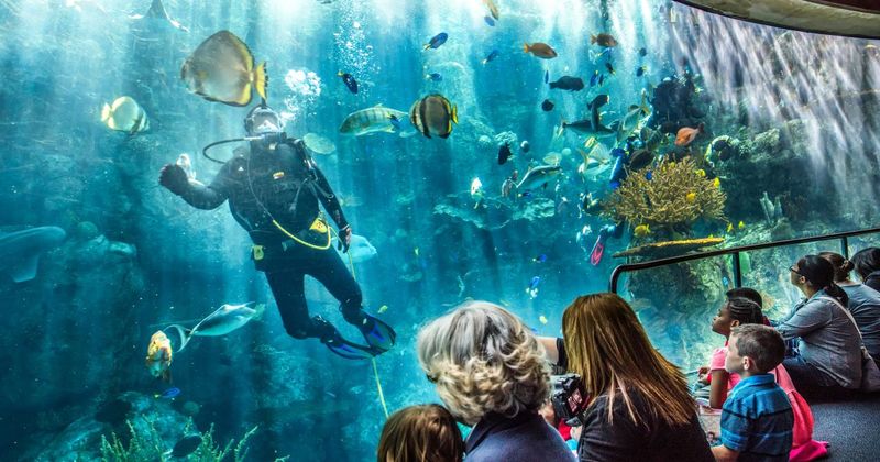 Aquarium of the Pacific in Long Beach