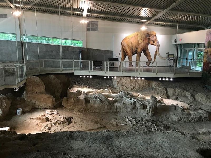 Waco Mammoth National Monument – Prehistoric Giants in Central Texas