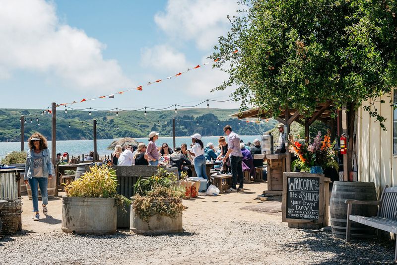 Hog Island Oyster Co., Marshall