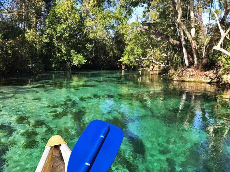 Weeki Wachee's Hidden Springs Trail