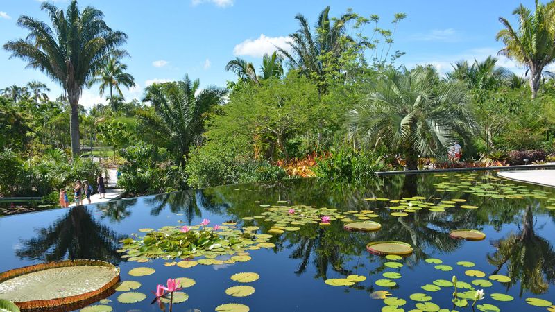 Naples Botanical Garden (Naples)