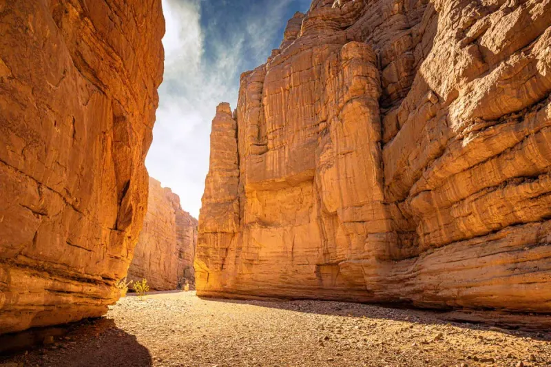 Painted Canyon (Mecca Hills Wilderness)