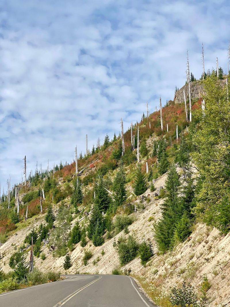 Spirit Lake Highway: Volcano Watching