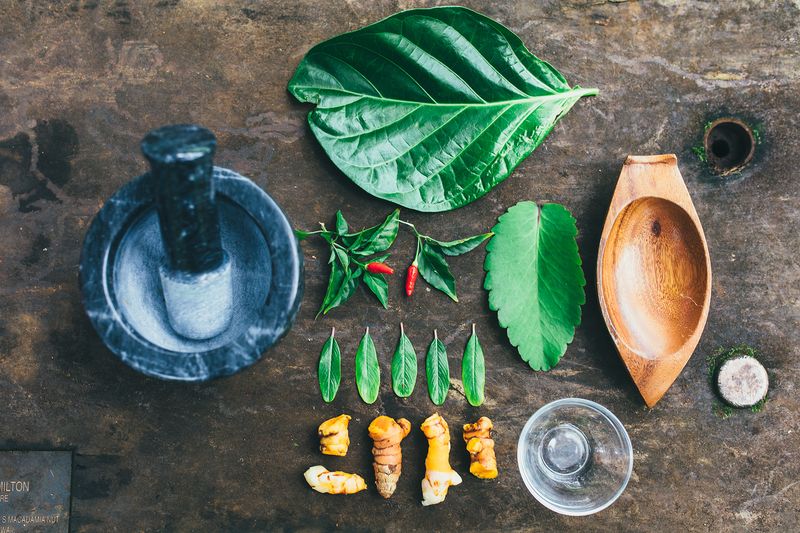 Harness The Healing Power Of Nature