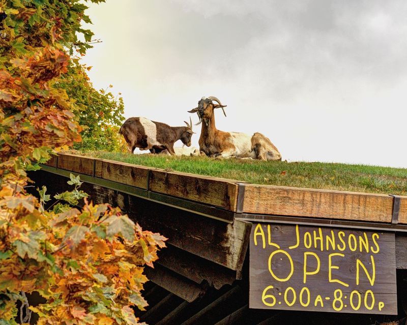 Al Johnson’s Swedish Restaurant
