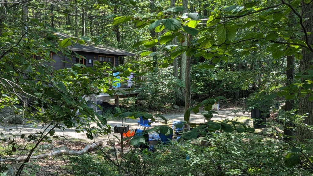 Wooden cabin in the woods of upstate New York.