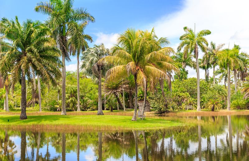 Fairchild Tropical Botanic Garden (Coral Gables)